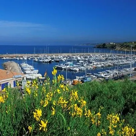 T2 Confortable Avec Jardin, Wi-fi Et Parking A 400m Des Plages - Fr-1-316-345 Six-Fours-les-Plages