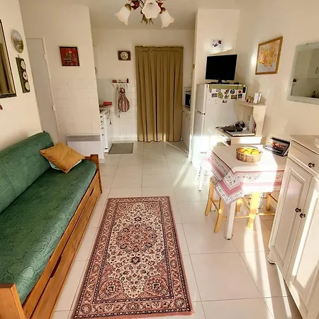 Apartment T2 Confortable Avec Jardin, Wi-fi Et Parking A 400m Des Plages - Fr-1-316-345